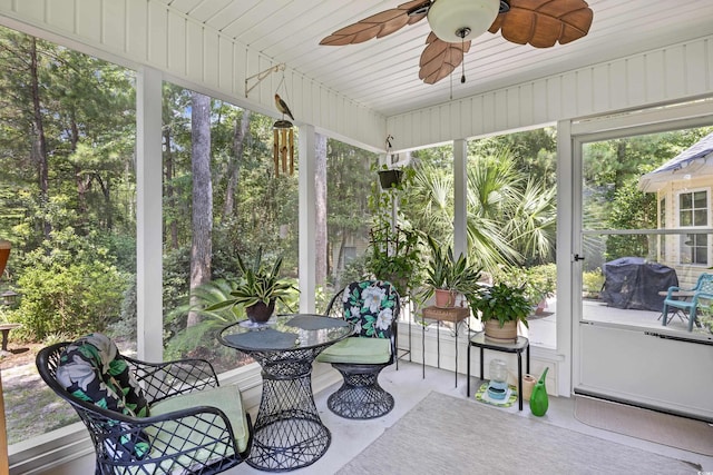 509 June Bug Ct, Myrtle Beach, SC 29588 - sunroom / solarium featuring a ceiling fan and plenty of natural light