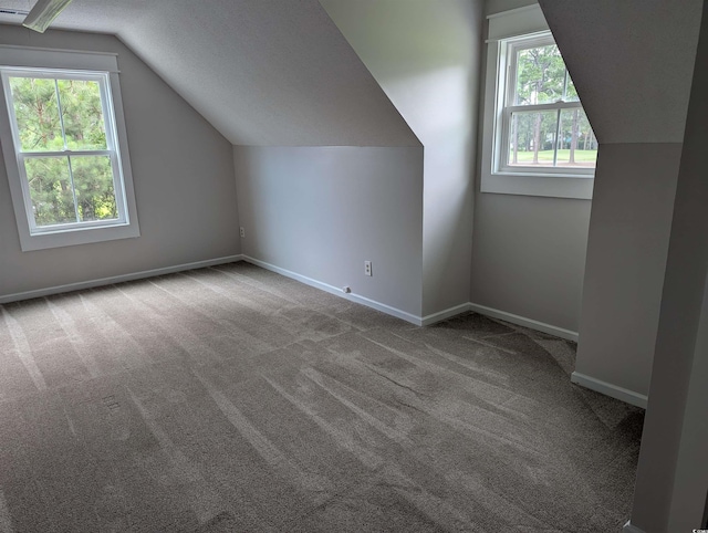 4719 National Dr, Myrtle Beach, SC 29579 - bonus room with lofted ceiling and carpet floors