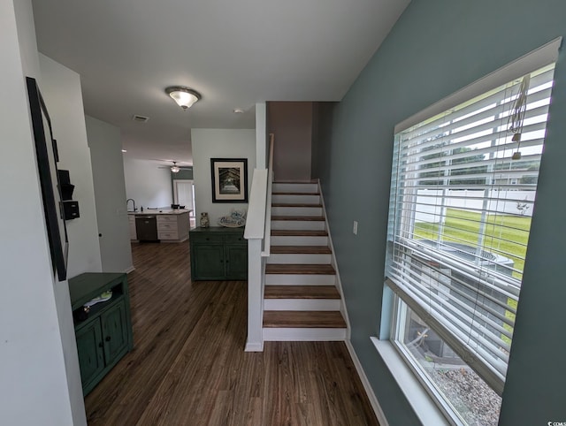 236 Haley Brooke Dr, Conway, SC 29526 - staircase featuring wood finished floors and a ceiling fan