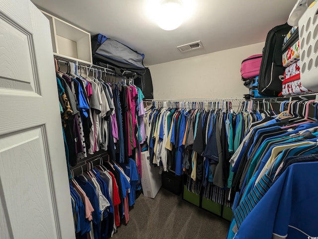 236 Haley Brooke Dr, Conway, SC 29526 - walk in closet featuring carpet
