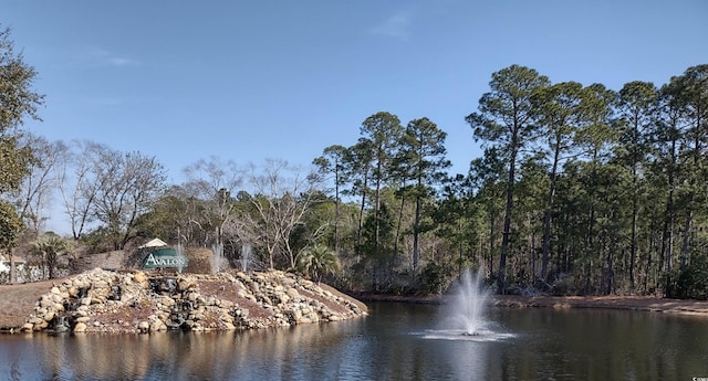 1077 Stoney Falls Blvd, Myrtle Beach, SC 29579 - photo 32