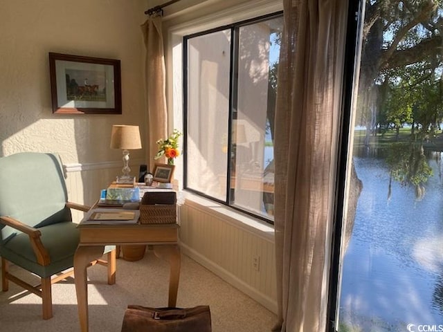18 Canvas Back Cv Unit 122, Georgetown, SC 29440 - carpeted home office featuring a wainscoted wall and a water view