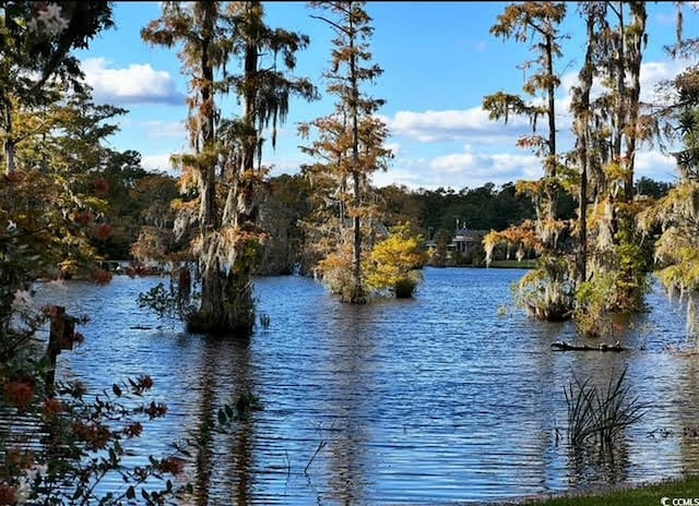 18 Canvas Back Cv Unit 122, Georgetown, SC 29440 - water view with a forest