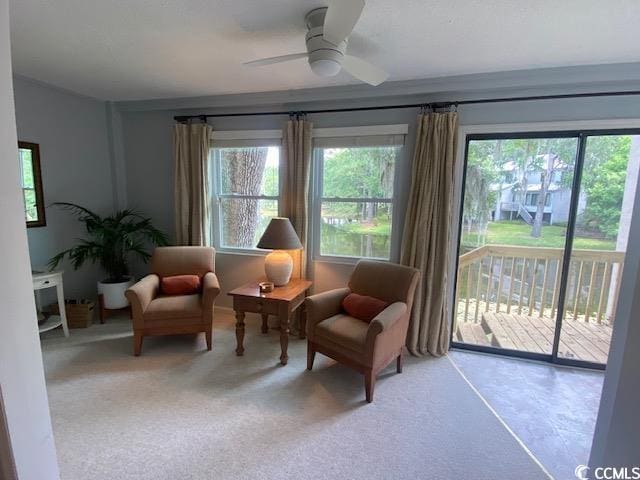18 Canvas Back Cv Unit 122, Georgetown, SC 29440 - sitting room with healthy amount of natural light, carpet, and ceiling fan