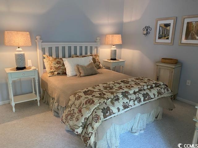 18 Canvas Back Cv Unit 122, Georgetown, SC 29440 - carpeted bedroom featuring baseboards