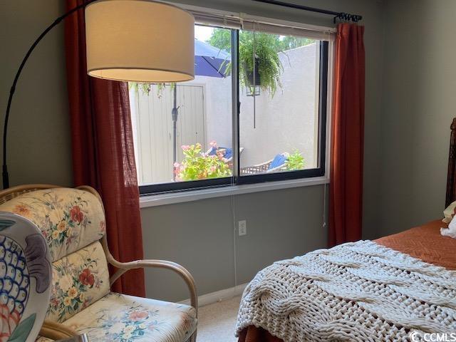18 Canvas Back Cv Unit 122, Georgetown, SC 29440 - bedroom featuring carpet and baseboards