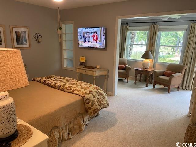18 Canvas Back Cv Unit 122, Georgetown, SC 29440 - bedroom with carpet flooring
