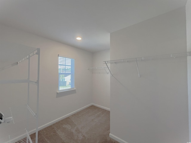 6619 Colonial Dr, Myrtle Beach, SC 29572 - photo 17