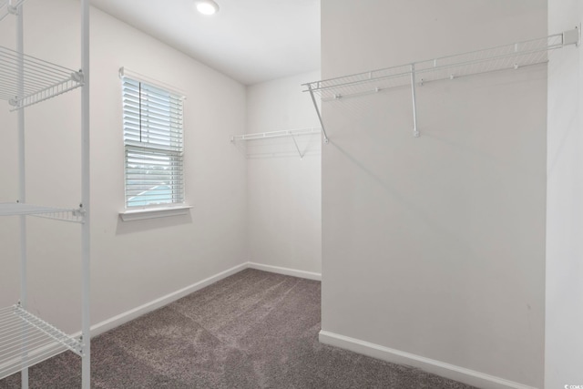 6619 Colonial Dr, Myrtle Beach, SC 29572 - photo 31