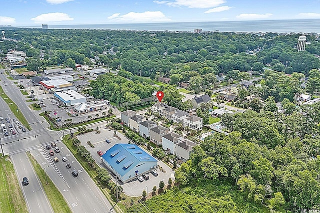 1011 Sable Palm Way, Surfside Beach, SC 29575 - drone / aerial view of a large body of water