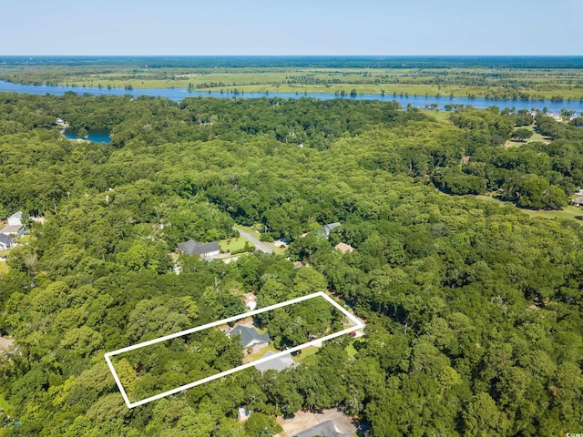 309 Otter Run Rd, Pawleys Island, SC 29585 - photo 5