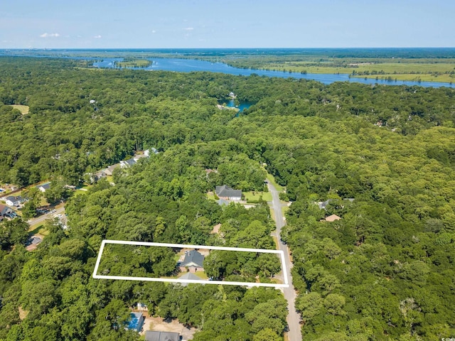 309 Otter Run Rd, Pawleys Island, SC 29585 - photo 4