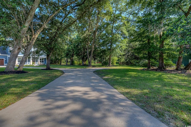 520 Oak Pond Ct, Conway, SC 29526 - view of property's community featuring a yard