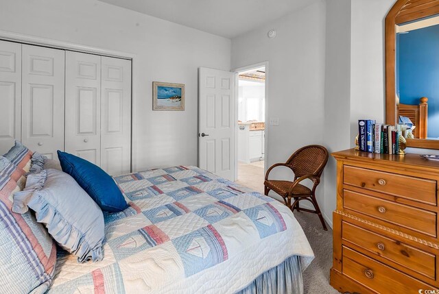 4400 Turtle Ln Unit 2-D, Little River, SC 29566 - bedroom with a closet and carpet floors