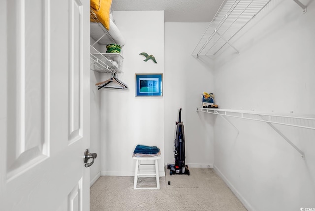 4400 Turtle Ln Unit 2-D, Little River, SC 29566 - walk in closet featuring carpet