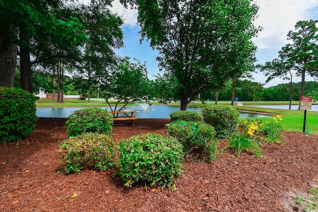 2479 Burning Tree Ln, Little River, SC 29566 - view of yard featuring a water view