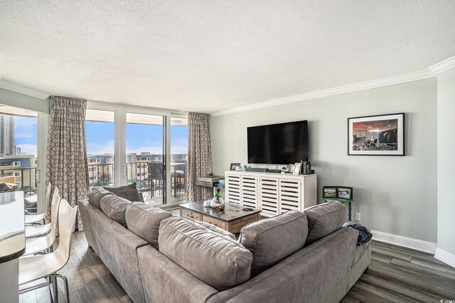 9650 Shore Dr Unit 209, Myrtle Beach, SC 29572 - living area featuring a textured ceiling, crown molding, dark wood-style floors, and a city view