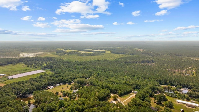 7258 Lawrimore Ln, Conway, SC 29527