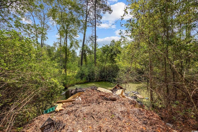7258 Lawrimore Ln, Conway, SC 29527