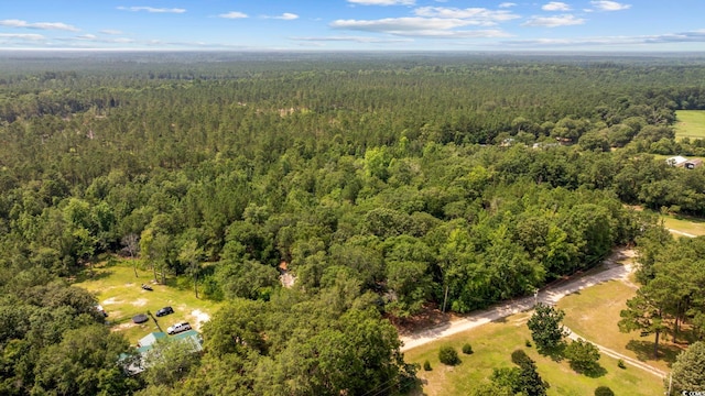 7258 Lawrimore Ln, Conway, SC 29527
