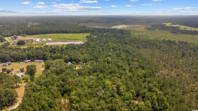 7258 Lawrimore Ln, Conway, SC 29527