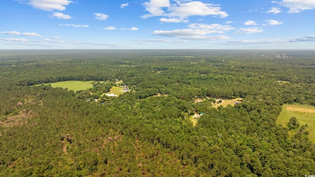7258 Lawrimore Ln, Conway, SC 29527