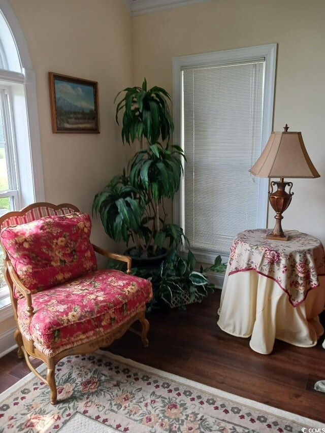 765 Shaftesbury Ln, Conway, SC 29526 - photo 6