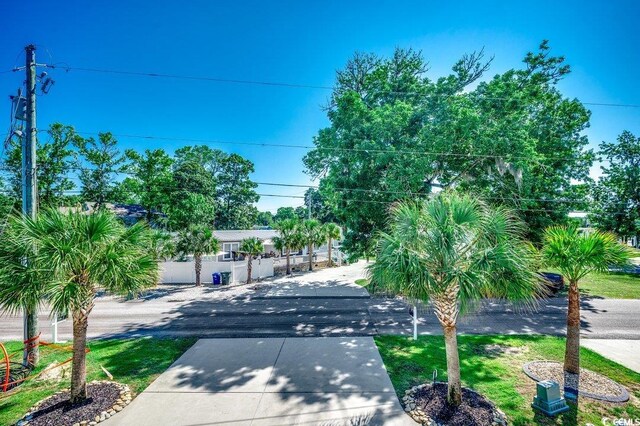 1733 24th Ave N, North Myrtle Beach, SC 29582 - view of property hidden behind natural elements