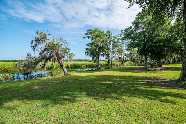 52 Trimmings Ct, Pawleys Island, SC 29585 - photo 3