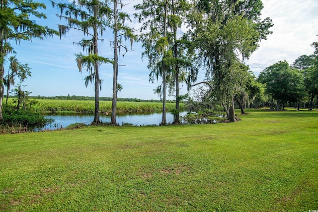 52 Trimmings Ct, Pawleys Island, SC 29585 - photo 31