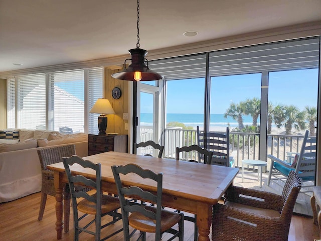 701 Norris Dr, Pawleys Island, SC 29585 - photo 11