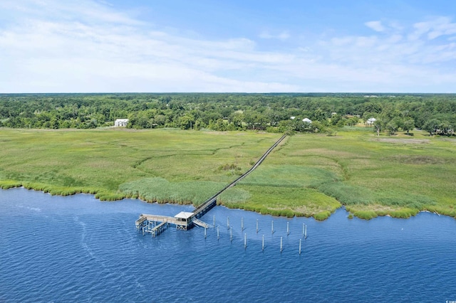 LOT142 Millbank Rd, Georgetown, SC 29440 - aerial view of a heavily wooded area and a nearby body of water