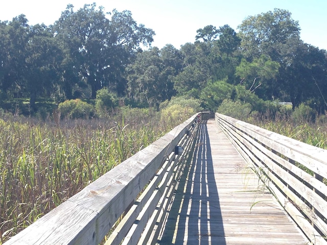 LOT142 Millbank Rd, Georgetown, SC 29440 - view of community with a forest view