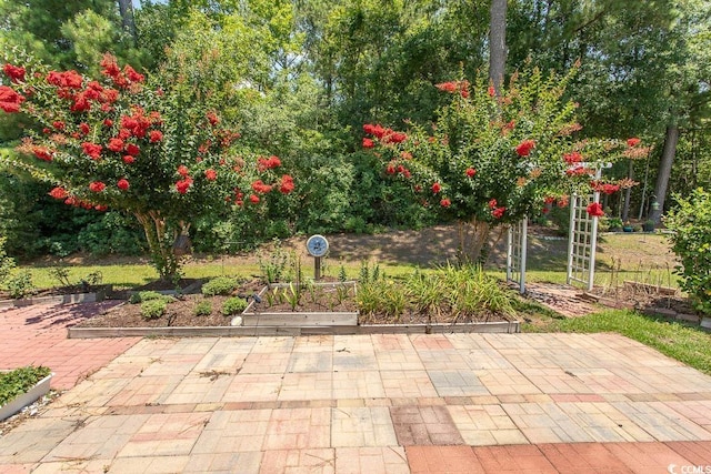 123 Retreat Pl, Little River, SC 29566 - photo 6