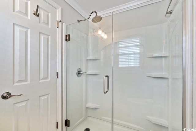 325 N 58th Ave N, North Myrtle Beach, SC 29582 - bathroom with a shower stall