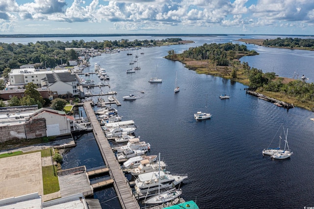 528 George Washington Trl, Georgetown, SC 29440 - aerial view of a large body of water and numerous boat docks