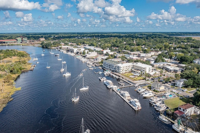528 George Washington Trl, Georgetown, SC 29440 - drone / aerial view of a large body of water