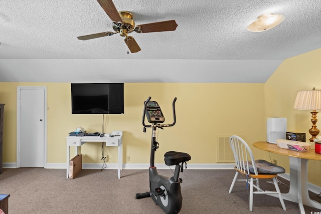 528 George Washington Trl, Georgetown, SC 29440 - exercise area featuring ceiling fan, a textured ceiling, vaulted ceiling, and carpet
