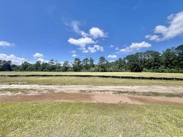 193 Norris Ln, Loris, SC 29569 - photo 2