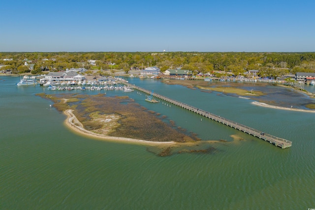4539 Fringetree Dr, Murrells Inlet, SC 29576 - photo 39