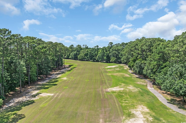 4539 Fringetree Dr, Murrells Inlet, SC 29576 - photo 36