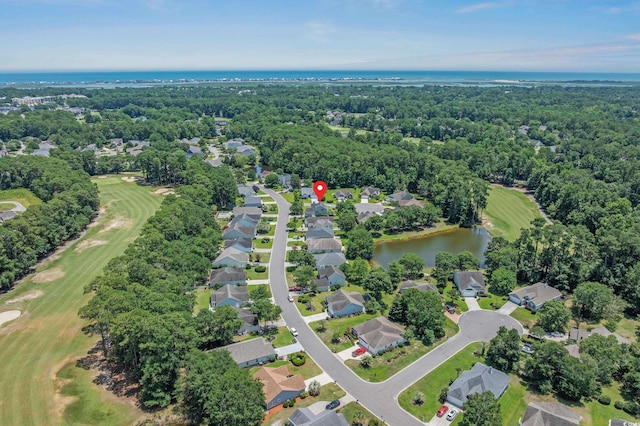 4539 Fringetree Dr, Murrells Inlet, SC 29576 - photo 9