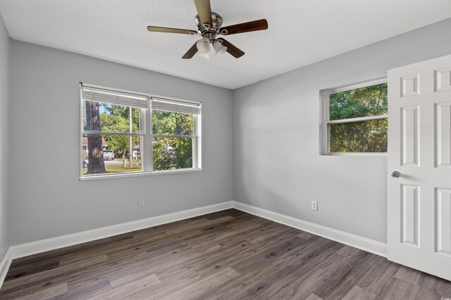 4502 Boxwood St, Myrtle Beach, SC 29577 - photo 11