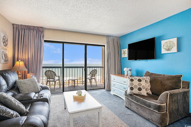 210 75th Ave N Unit 4114, Myrtle Beach, SC 29572 - photo 5