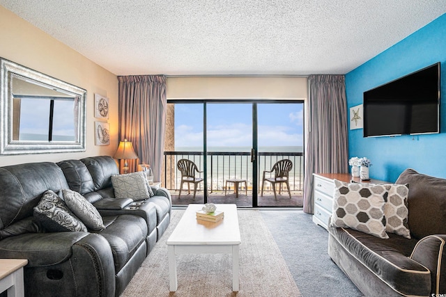 210 75th Ave N Unit 4114, Myrtle Beach, SC 29572 - photo 3