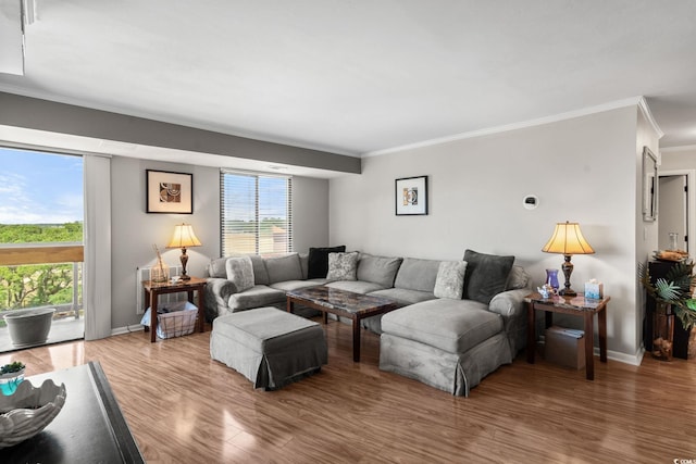 400 20th Ave N Unit 606, Myrtle Beach, SC 29577 - living area with crown molding, plenty of natural light, and wood finished floors