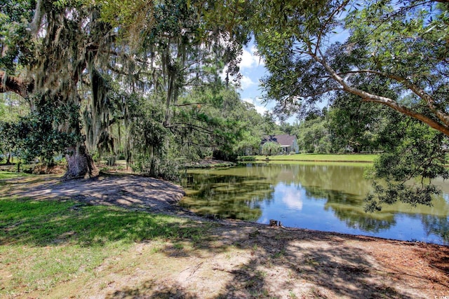 23 Robert Conway Ct, Georgetown, SC 29440 - water view