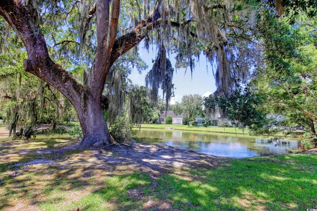 23 Robert Conway Ct, Georgetown, SC 29440 - view of green lawn featuring a water view