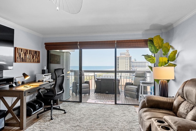 5511 N Ocean Blvd Unit 902, Myrtle Beach, SC 29577 - office area with wood finished floors, crown molding, and a water view