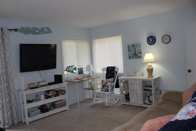 1025 Plantation Dr W Unit 2625/2626, Little River, SC 29566 - living room with carpet floors